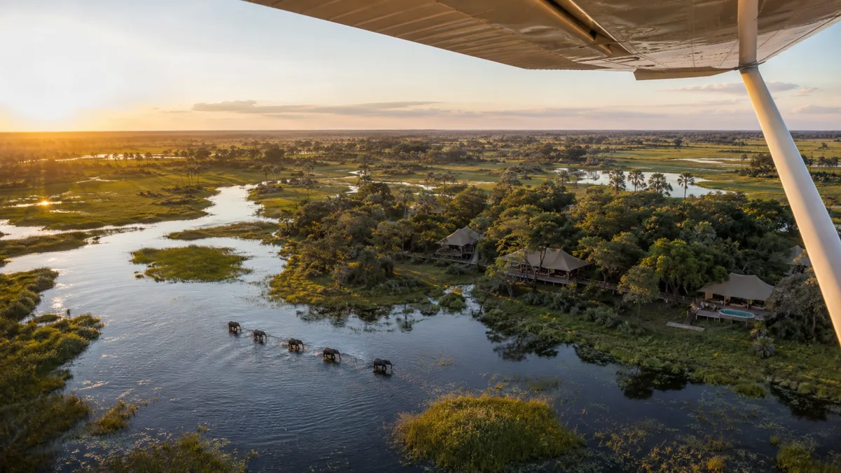 Vista aérea del Delta del Okavango con un camp entre los árboles y elefantes cruzando un canal
